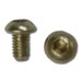 Hinge Plate Screw