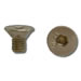 Top Hinge Screw